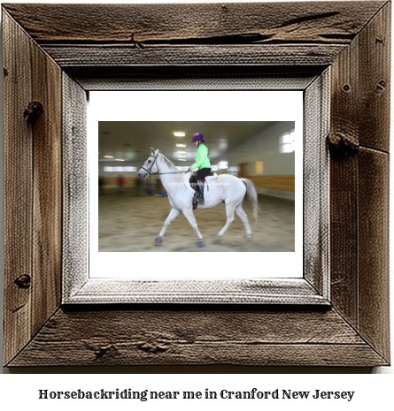 horseback riding near me in Cranford, New Jersey